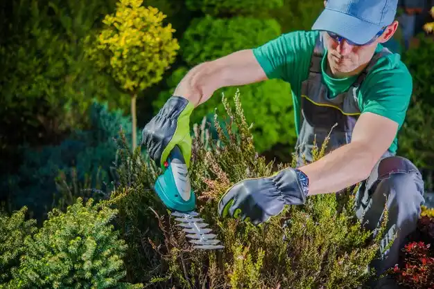 landscaping services St. John